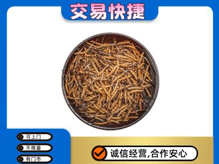 长治回收散虫草